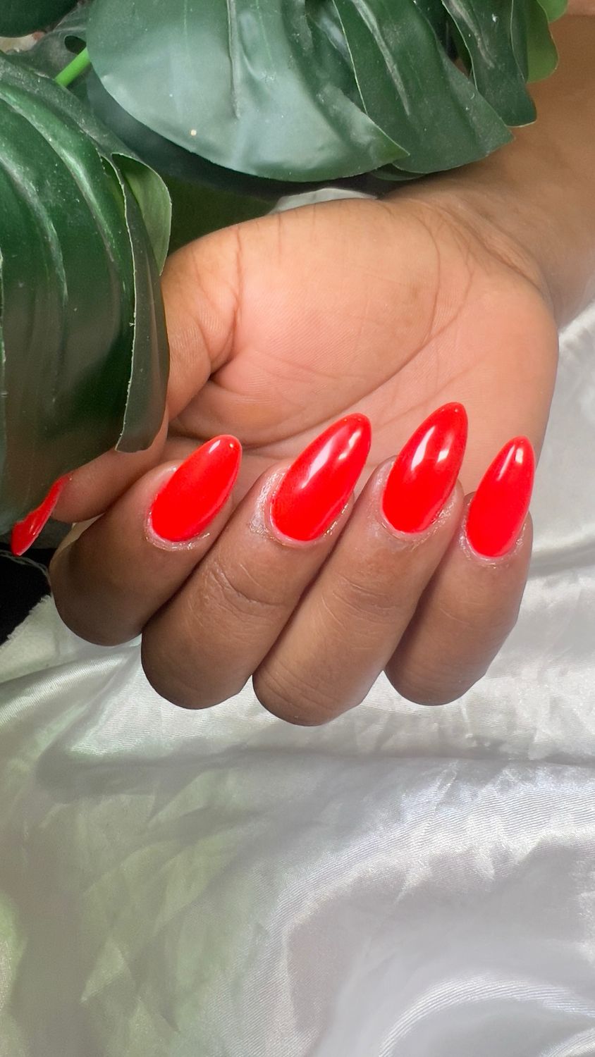 Nails Extension Medium