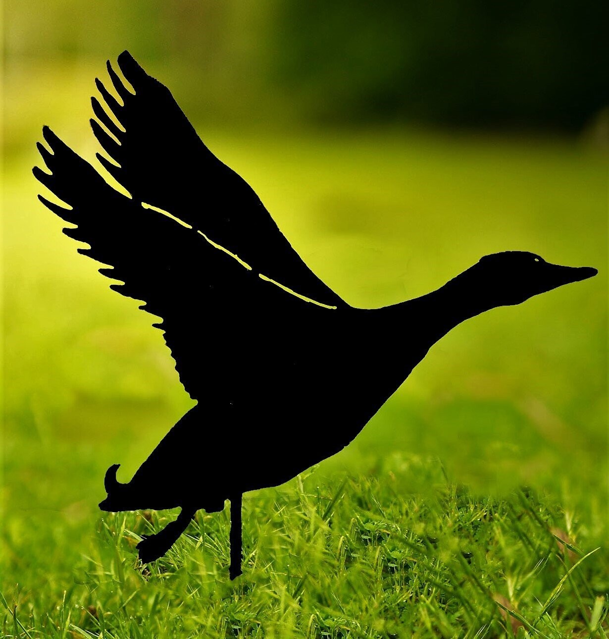 Duck Flying Design Metal Silhouette Sculpture - Corten Steel Garden Art