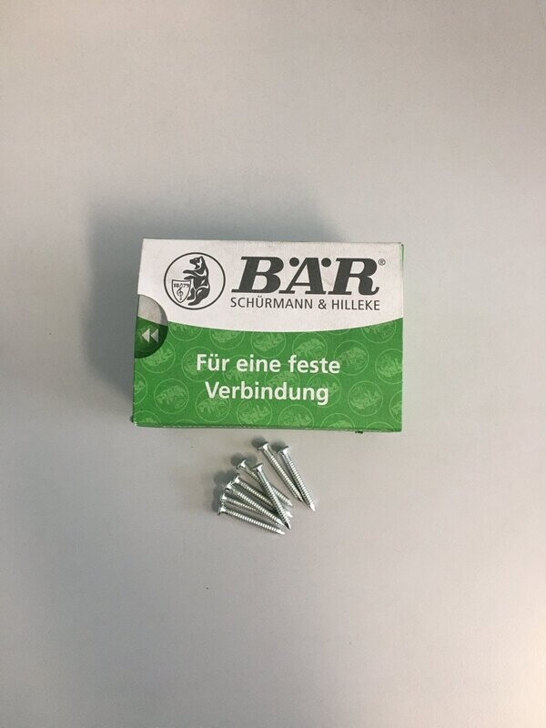 Bär Ankernägel 4x40mm 250ST