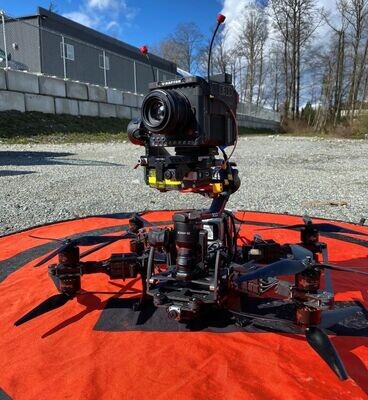 RR Swol PRO 11" 12s BNF