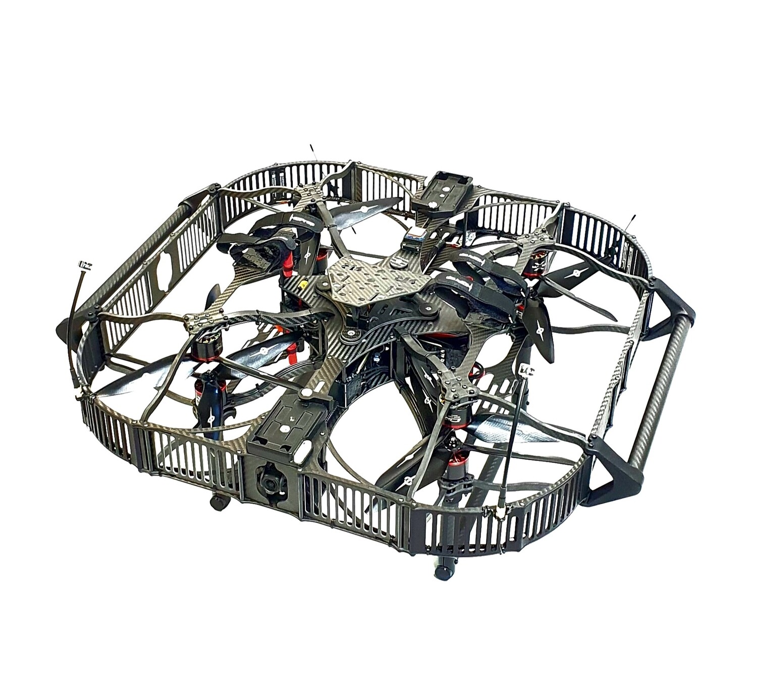 RR Pizza 11" x8 12s BNF