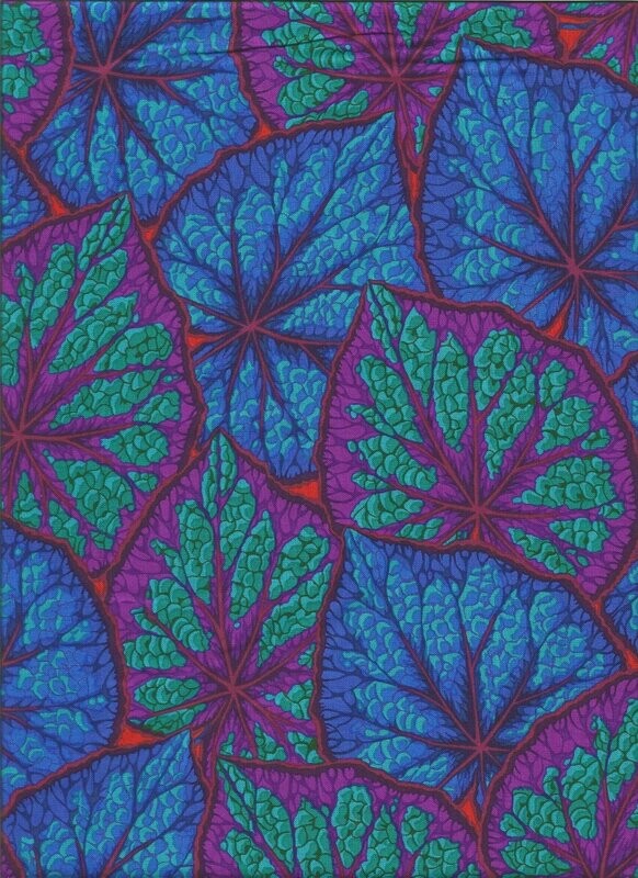 Begonia Leaves