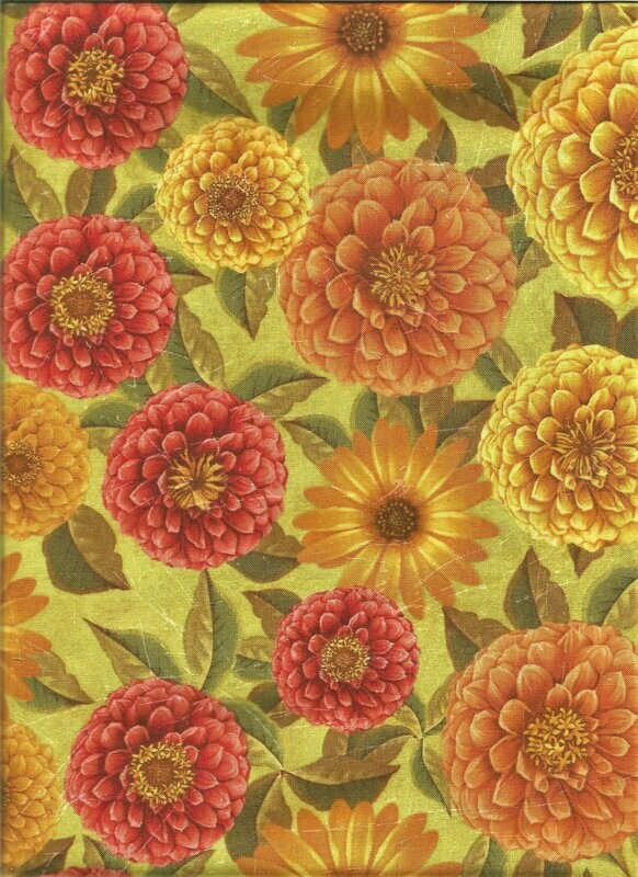 Zinnien