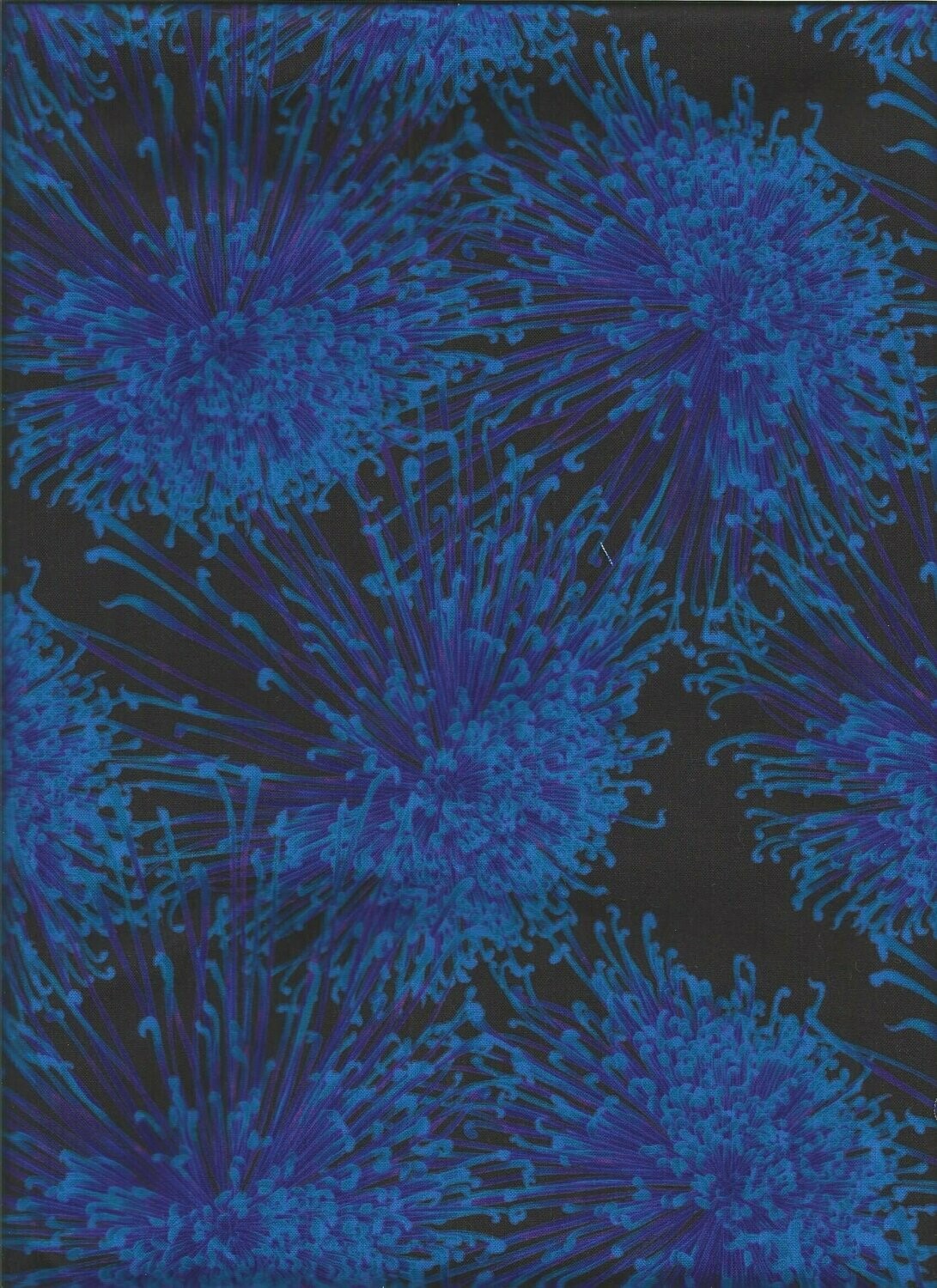 Chrysantheme