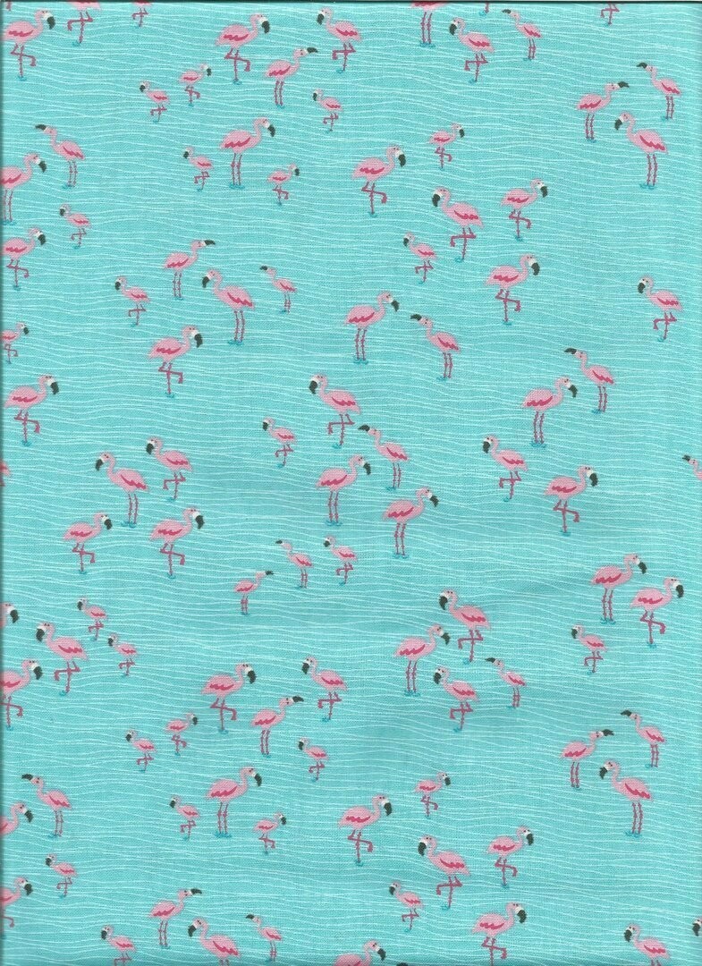 Flamingos