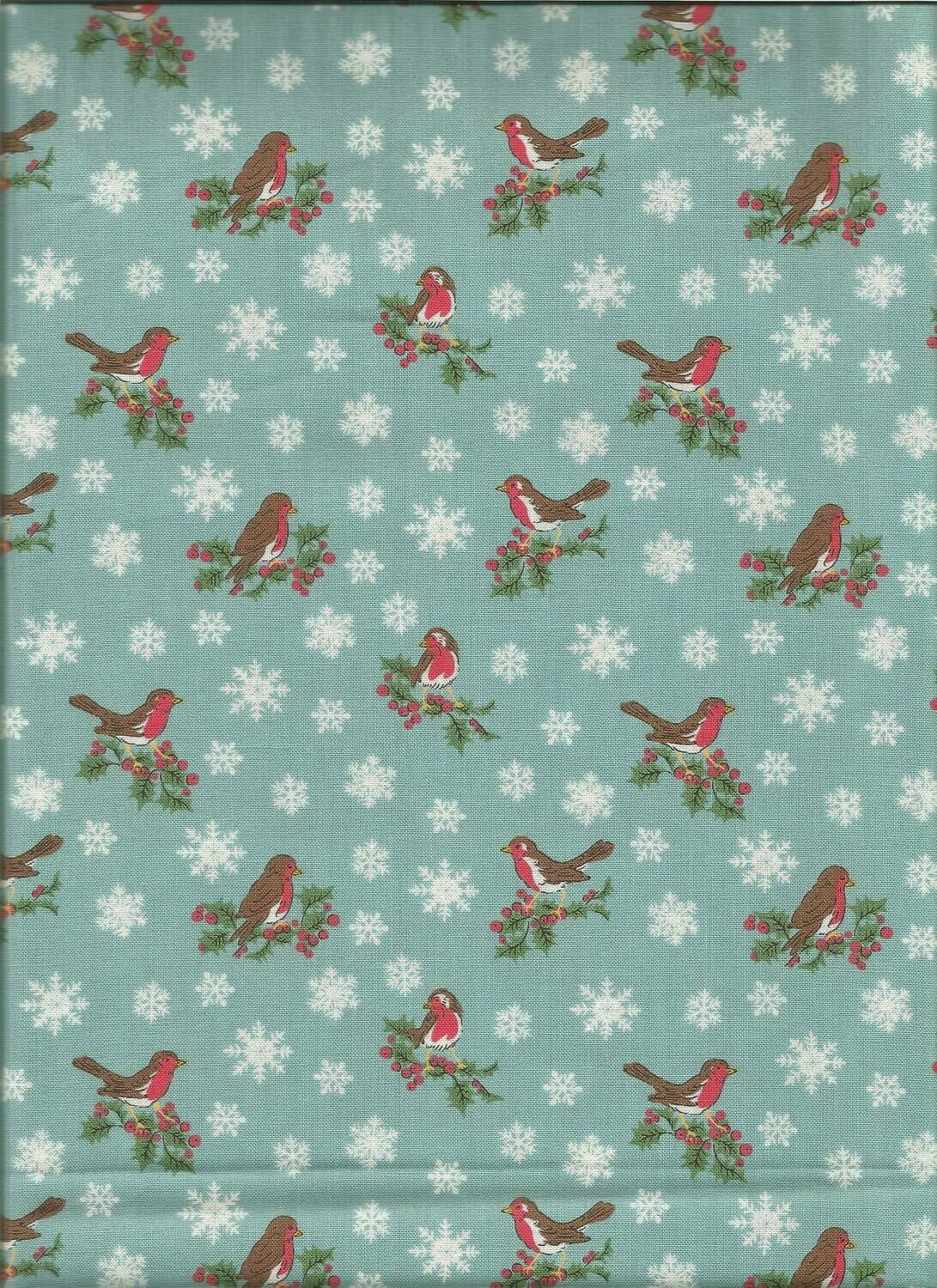 A Jolly Robin