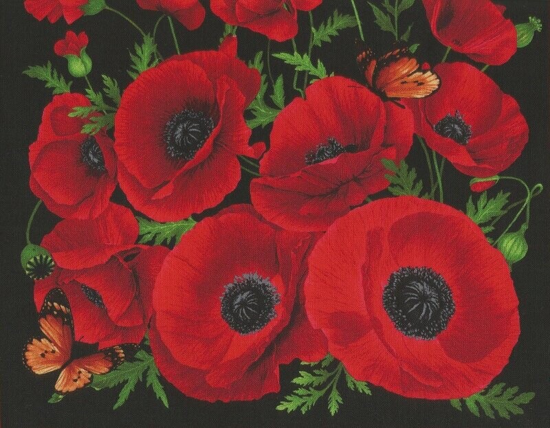 Wild Poppy