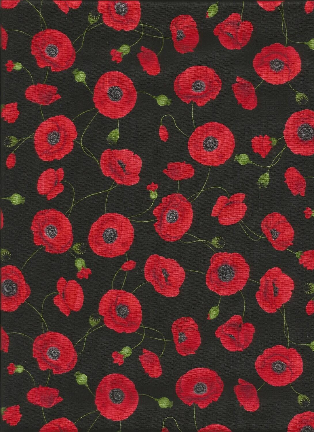 Wild Poppy