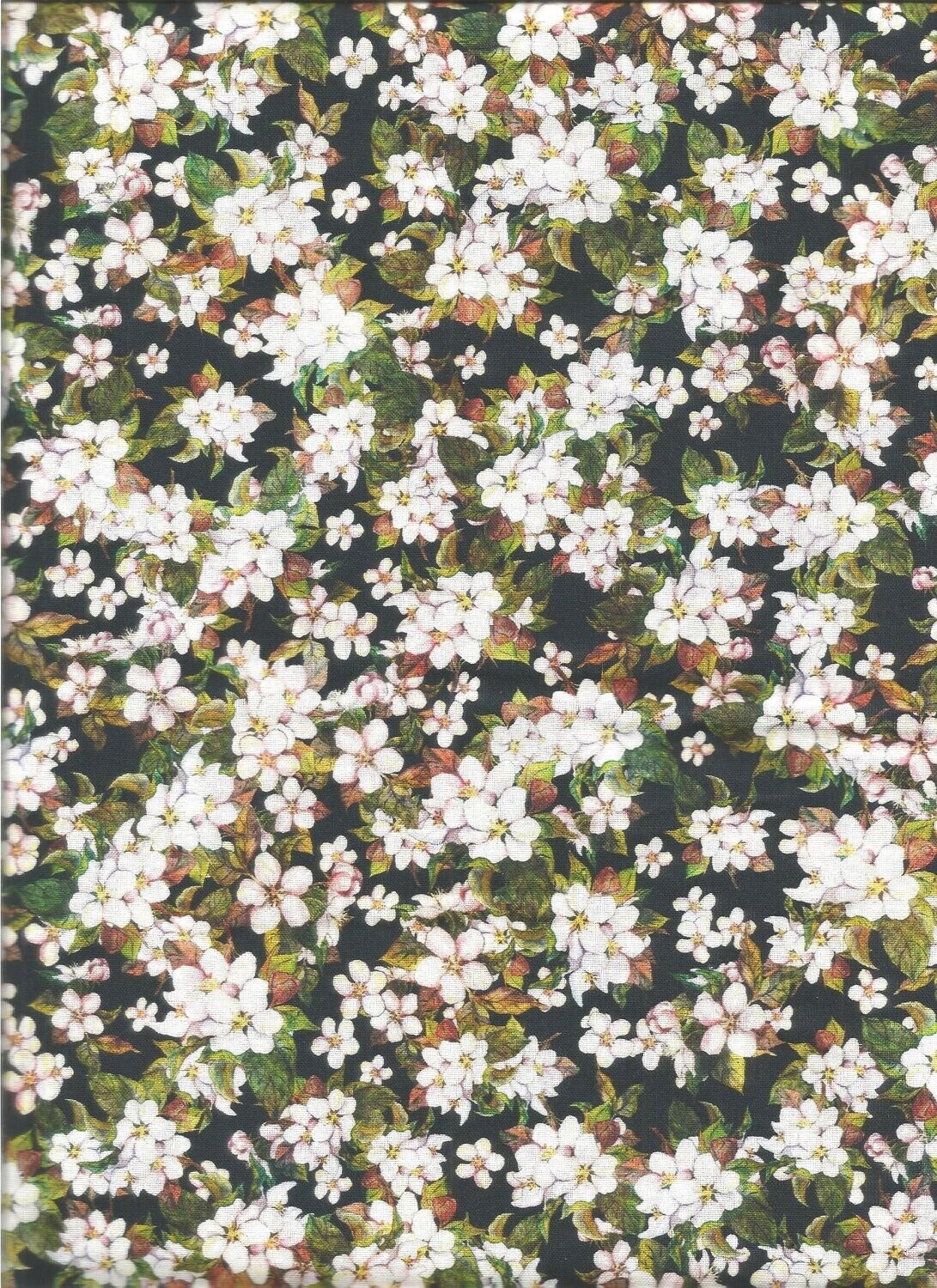 Apfelblüten