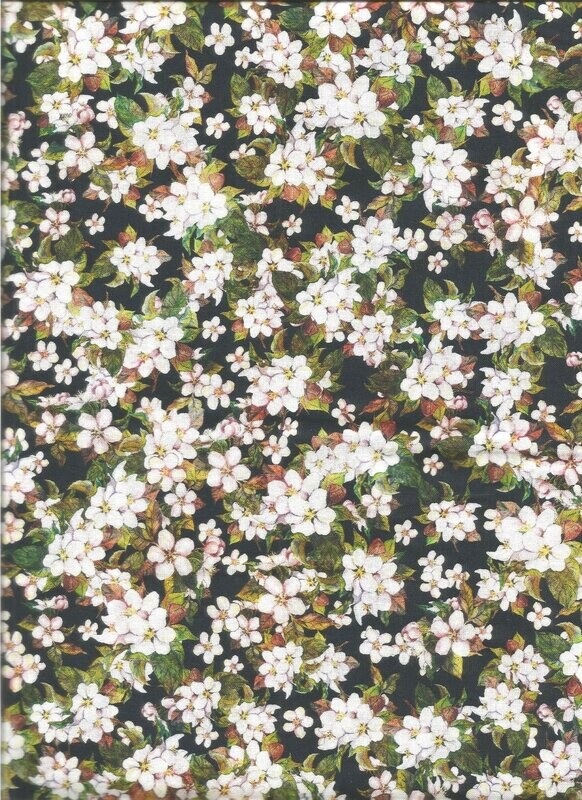 Apfelblüten