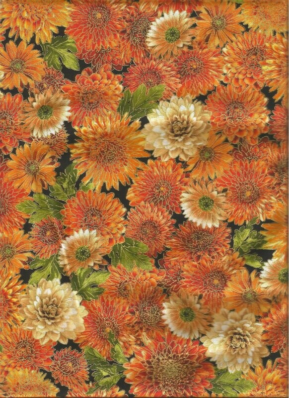 Herbstastern Orange