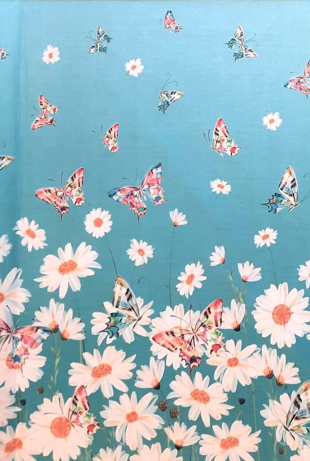 Daisy Butterfly Doppelbordüre