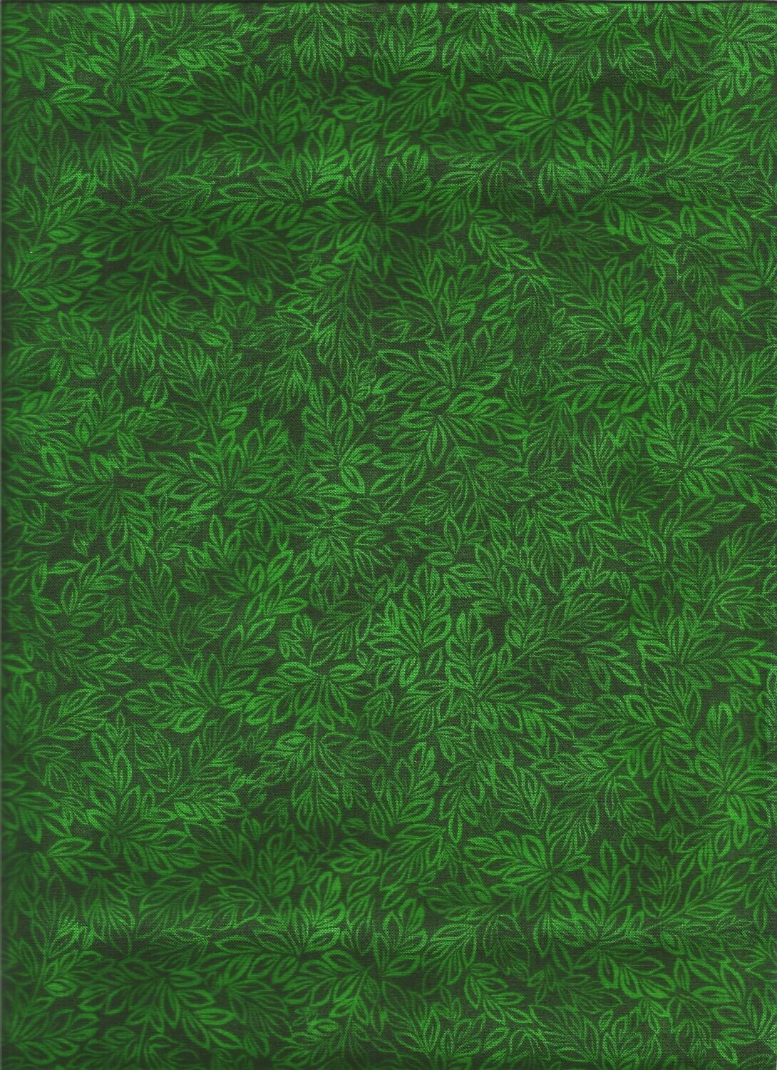 Meadow Fb. PINE