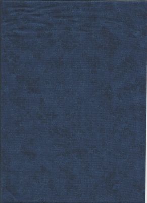 Spraytime Fb. MIDNIGHT BLUE