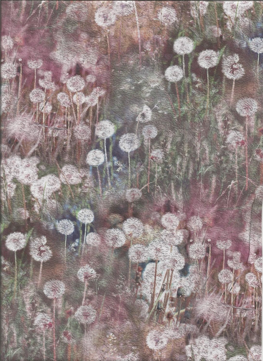Dandelion Wishes