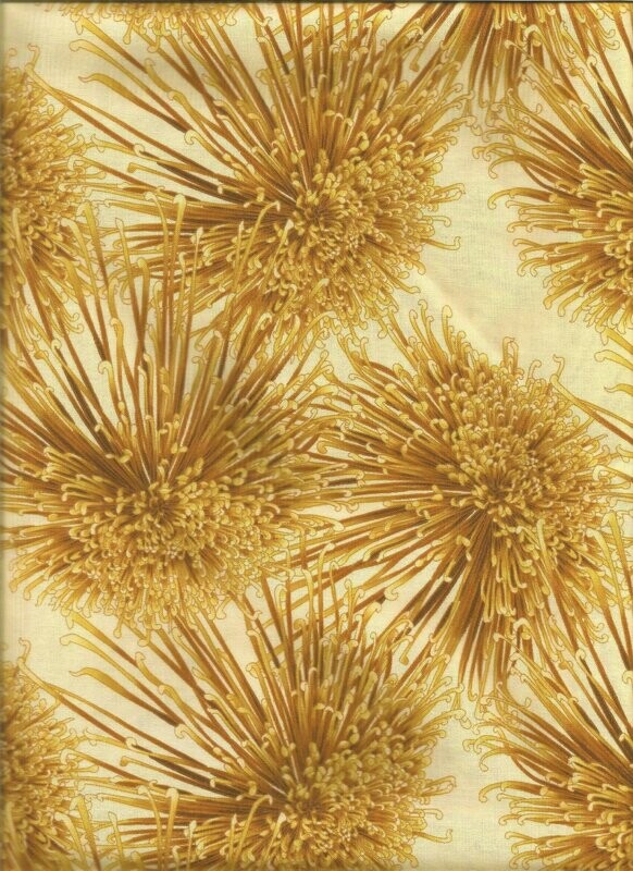 Chrysantheme Chrysantheme