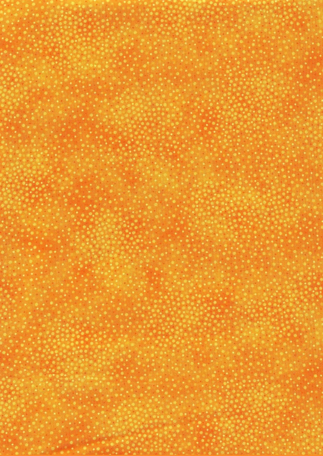 Spotsy, Fb. ORANGE Spotsy, Fb. ORANGE
