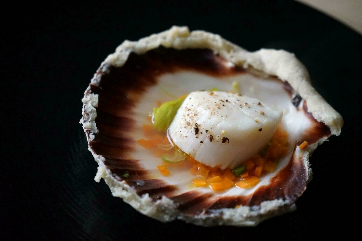Mini Coquille Saint-Jacques