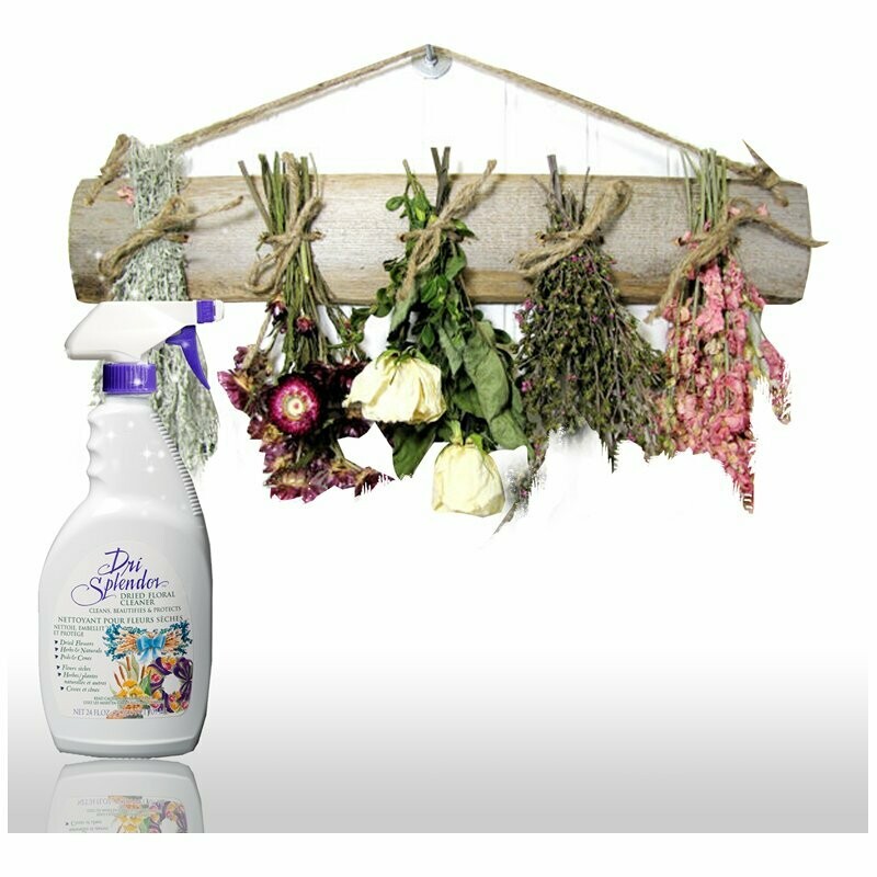 Wholesale Silk Plants Produced In San Diego, CA H&P Sales