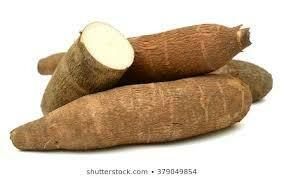yuca