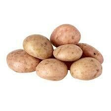 papa pastusa