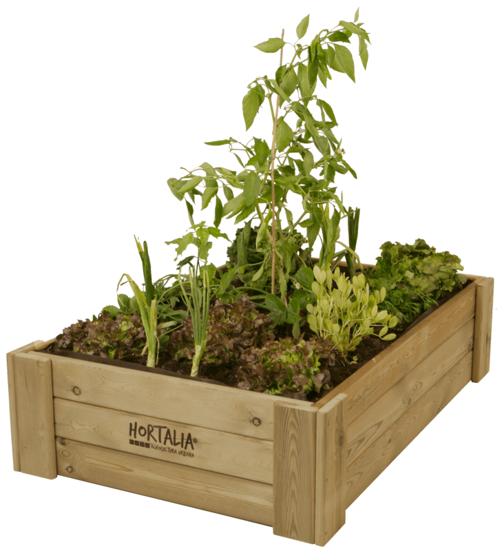 Cajón de Cultivo Box