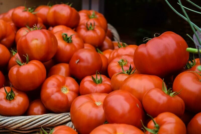 Tomate Valentín