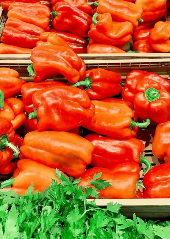 Pimientos Morrón Lamuyu