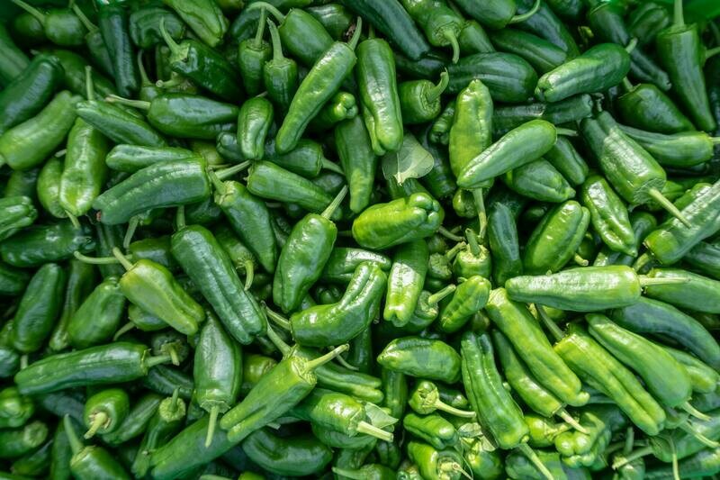 Pimientos de Padrón
