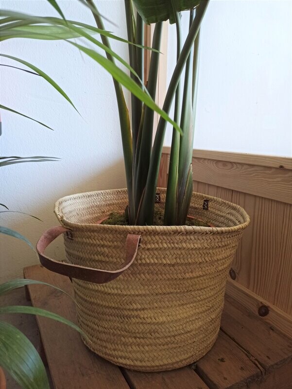 Cesta mediana