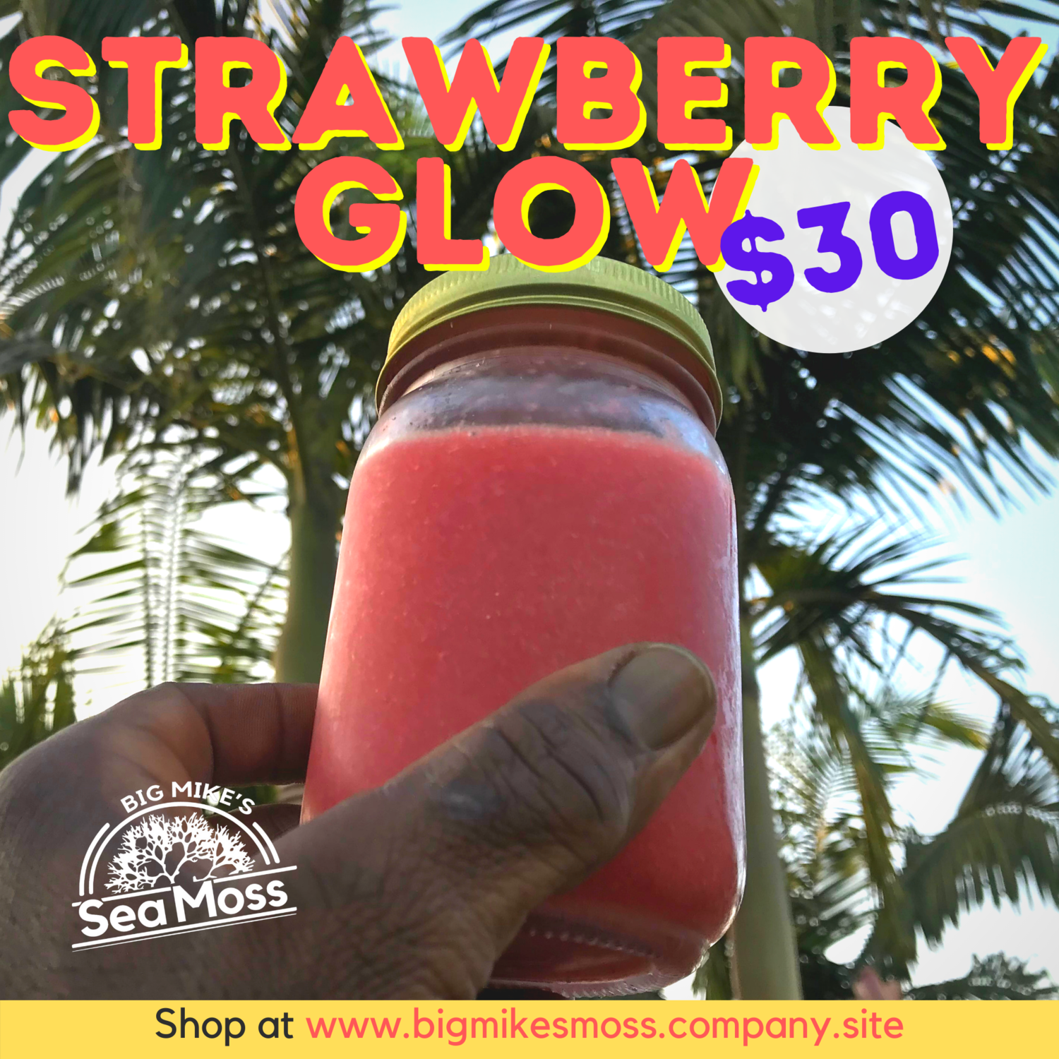 Strawberry Glow - Irish Sea Moss GEL - 16 oz