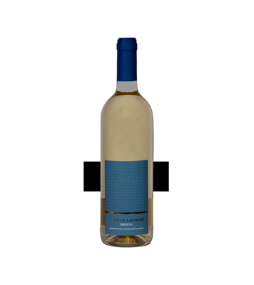 Chardonnay
