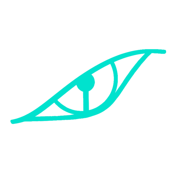 vision smart