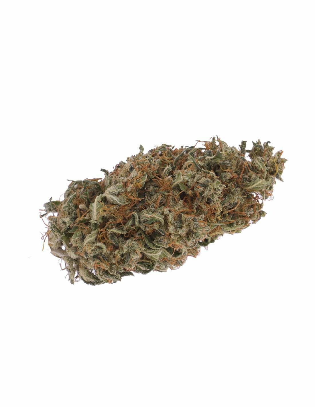 FLORES CBD MOBY DICK