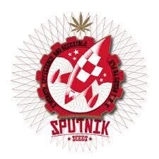 SEMILLAS FEMINIZADAS SPUTNIK SEEDS