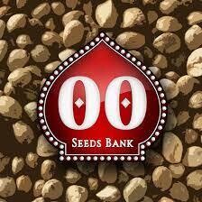 SEMILLAS FEMINIZADAS 00 SEEDS BANK 5 SEMILLAS