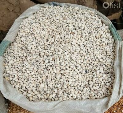 White beans (sokoto)
