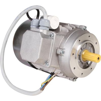 Ersatzmotor zu Agricow Pendelbürste