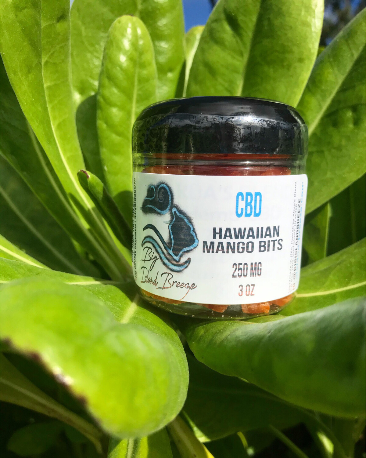 Hawaiian Mango Bits