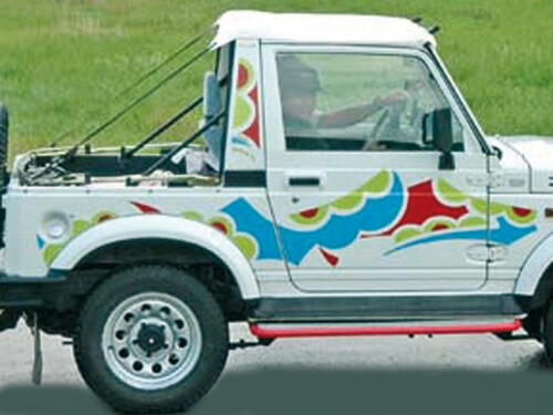 Bikini Top Economy Vitara