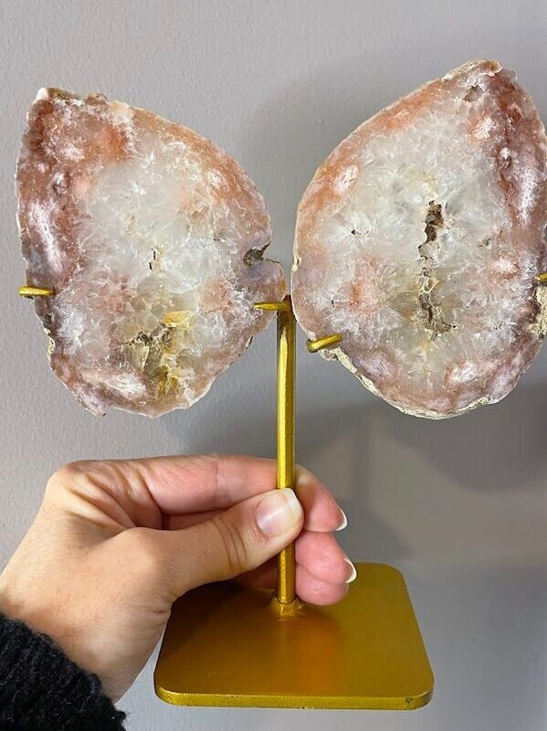 pink flower agate wings