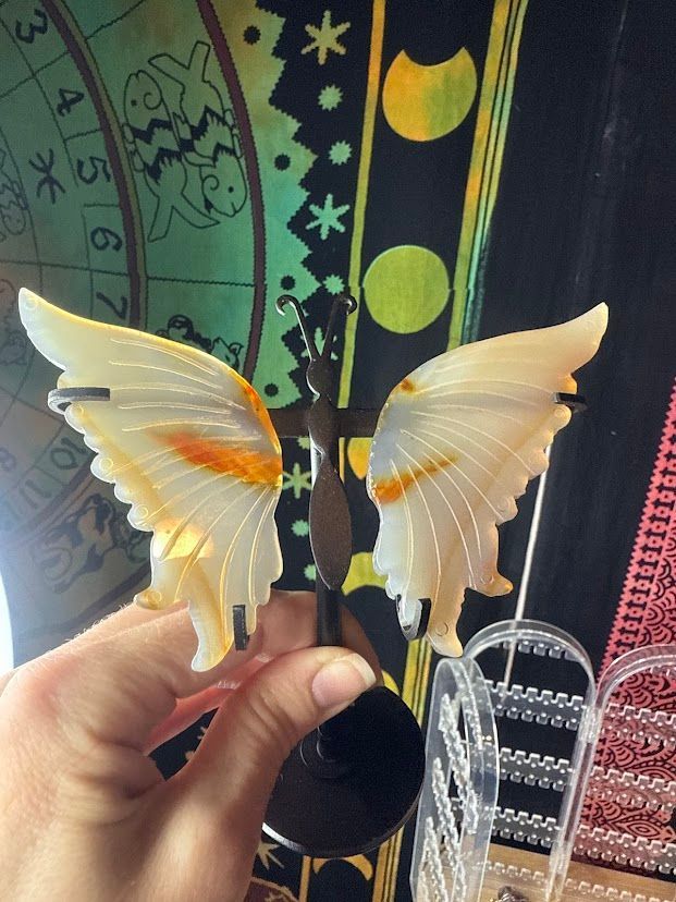 Agate butterfly wings