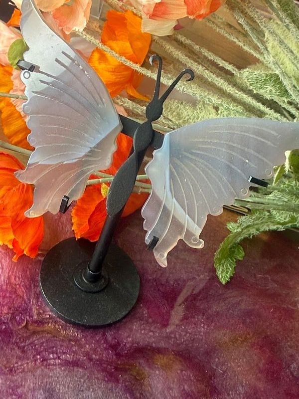 Agate butterfly wings