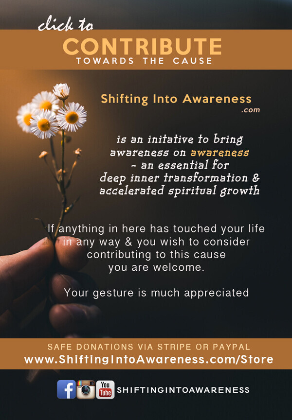 Donate for Shifting Into Awareness