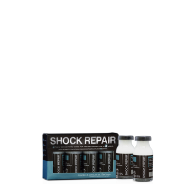 SHOCK REPAIR