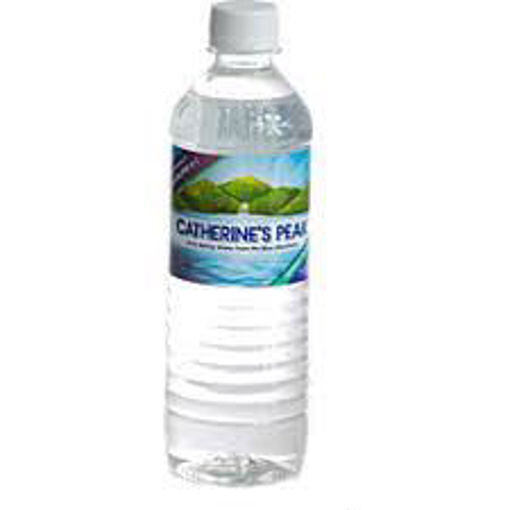 Catherines Peak Water