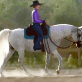 Show 4 April 12-28 IDCTA Championship Judge Robin Brueckmann WDAA 24-135