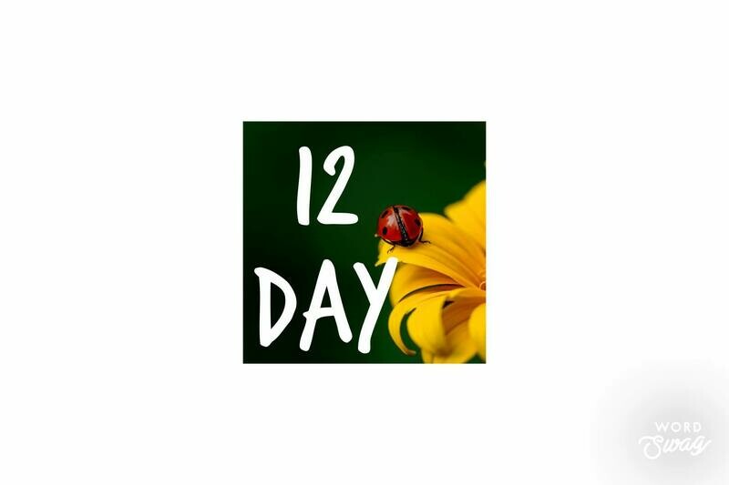 12 Day Shake Trials