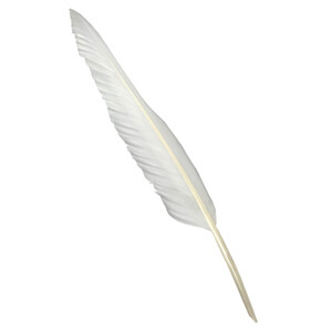 Feather Quill