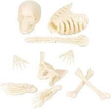 Mini Bag of Bones 